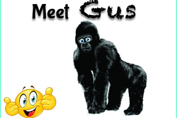 Meet Gus